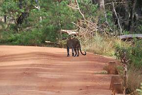 L.L.Tourist Inn & Safari jeeps