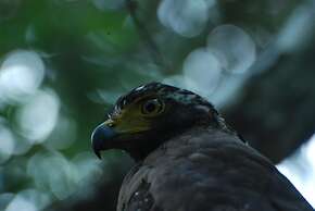 L.L.Tourist Inn & Safari jeeps