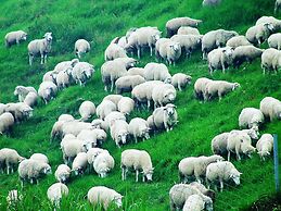 Formosa Vacation Village Homestay