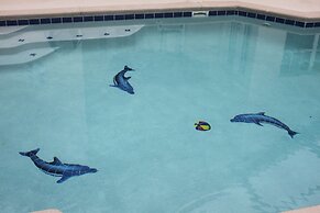Dolphin's Retreat Near Disney