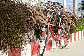 APA-TREE Boutique Hotel