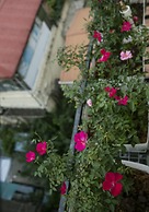 Au Coeur d'Hanoi Apartment