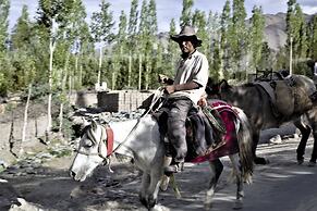 The Driftwood Ladakh