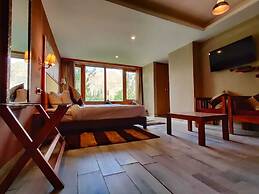 The Driftwood Ladakh