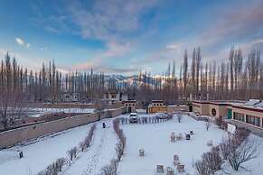 The Driftwood Ladakh