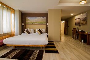 The Driftwood Ladakh