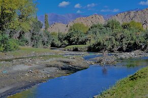 The Driftwood Ladakh