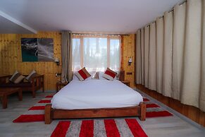 The Driftwood Ladakh