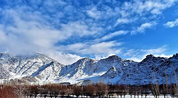 The Driftwood Ladakh