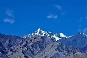 The Driftwood Ladakh