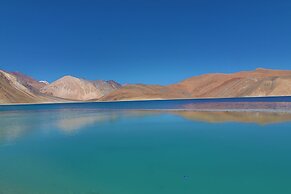 The Driftwood Ladakh