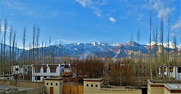 The Driftwood Ladakh