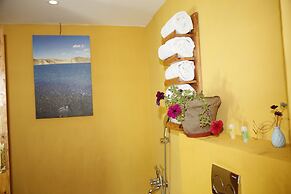 The Driftwood Ladakh