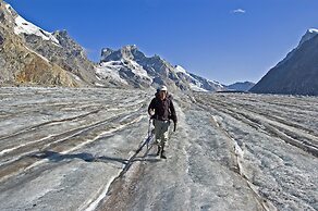 The Driftwood Ladakh
