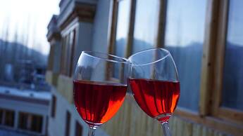 The Driftwood Ladakh