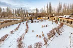 The Driftwood Ladakh