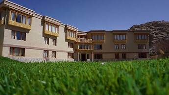 The Driftwood Ladakh