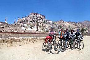 The Driftwood Ladakh