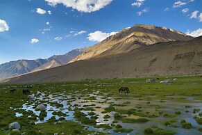 The Driftwood Ladakh