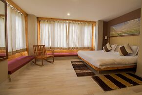 The Driftwood Ladakh