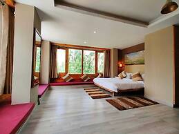 The Driftwood Ladakh