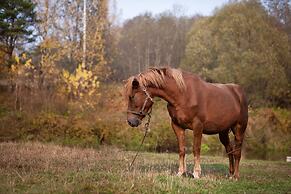 Country Resort Hotel-All Inclusive