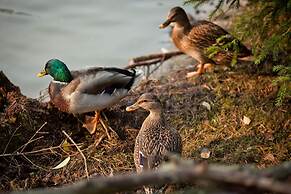 Country Resort Hotel-All Inclusive