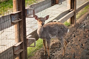 Country Resort Hotel-All Inclusive