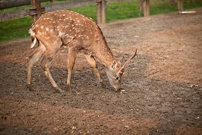 Country Resort Hotel-All Inclusive