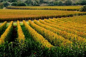 Agriturismo Fattoria Il Casalone