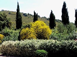 Agriturismo Fattoria Il Casalone