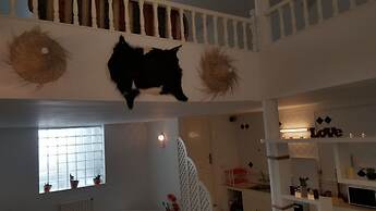 Le Cocon de Marsa Plage