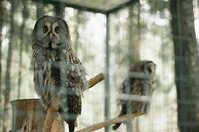 Eco Hotel Romanov Les