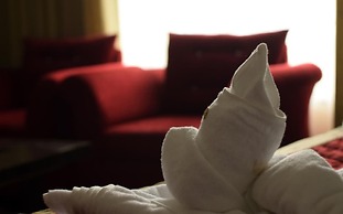 Kufri Pacific Resort