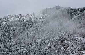 Kufri Pacific Resort