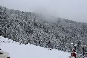 Kufri Pacific Resort