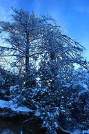 Kufri Pacific Resort