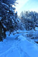 Kufri Pacific Resort