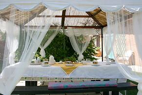 Wonderful Private Villa With Private Pool, TV, Pets Allowed and Parkin