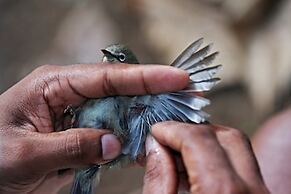 North Island, a Luxury Collection Resort, Seychelles
