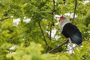 North Island, a Luxury Collection Resort, Seychelles