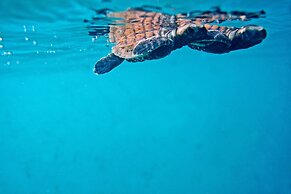 North Island, a Luxury Collection Resort, Seychelles