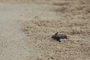North Island, a Luxury Collection Resort, Seychelles