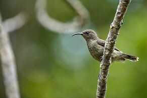 North Island, a Luxury Collection Resort, Seychelles