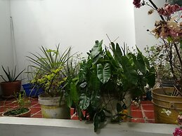 La Casita Morada