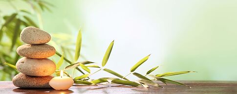 Tropical Villas Beach Danang