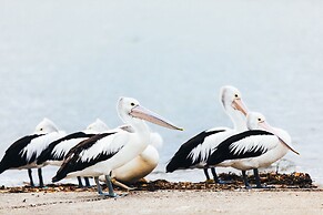 Jacobs Well Tourist Park