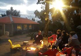 Jeojiri Tory's Dream