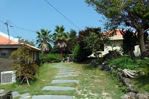 Jeojiri Tory's Dream