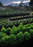 Rai Saeng Arun Resort